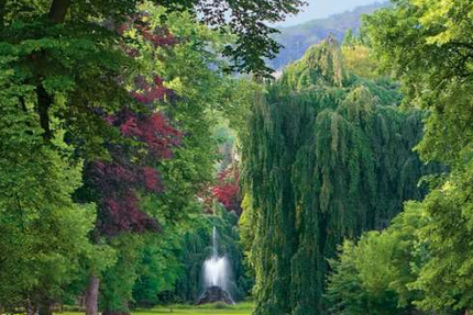 Haus Baden-Baden Baden - 8 Zimmer, 320 m&sup2;, 2.500.000&euro; | Angebot:18078558