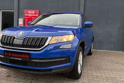Skoda Kodiaq 175.341 km 17.499 &euro; Gaggenau 76571