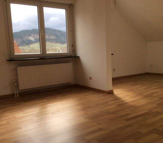 Mehrfamilienhaus, Wohnhaus Baden-Baden Steinbach - 1 Zimmer, 338 m&sup2;, 1.350.000&euro; | Angebot:25678636