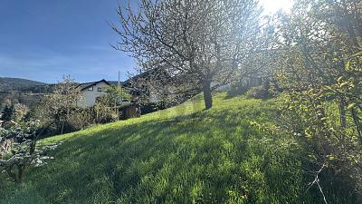 IDYLLE IN NATUR UND STADT - Grundstück Bühlertal | Angebot:26501813