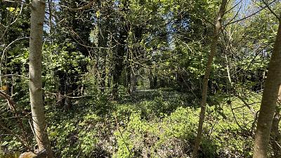 IHR GANZ PRIVATES STÜCK NATUR - Grundstück Kuppenheim | Angebot:26629562