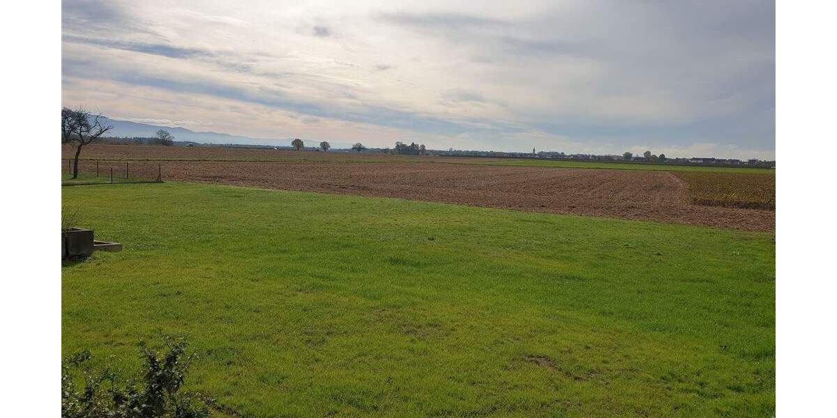 Einfamilienhaus Rheinmünster Söllingen - 4 Zimmer, 137 m&sup2;, 479.000&euro; | Angebot:25740470