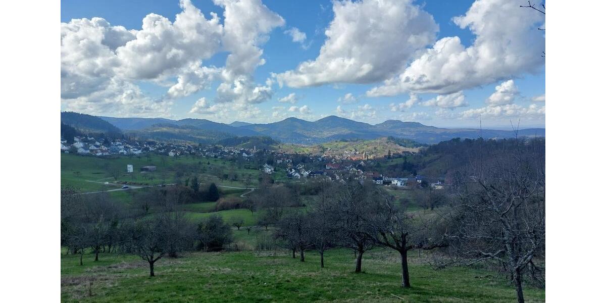 Einfamilienhaus Loffenau - 12 Zimmer, 187 m&sup2;, 333.000&euro; | Angebot:25962787