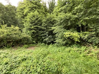 2380 QM WOHNEN AM BACH UND WALD ZUM ENTSPANNEN - Grundstück Bad Herrenalb | Angebot:26688141