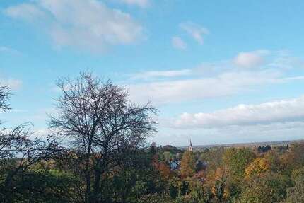 Wohnung Baden-Baden Baden - 4 Zimmer, 196 m&sup2;, 1.400&euro; | Angebot:26032746