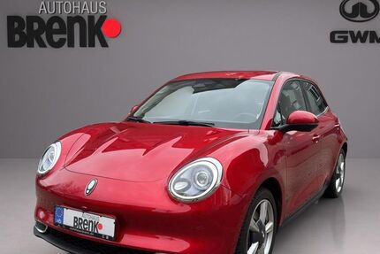 GWM Ora 03 23.250 km 17.990 &euro; Rastatt 76437