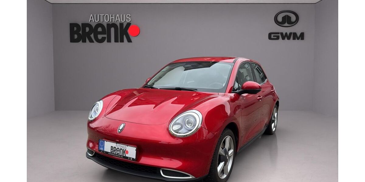 GWM Ora 03 23.250 km 17.990 &euro; Rastatt 76437