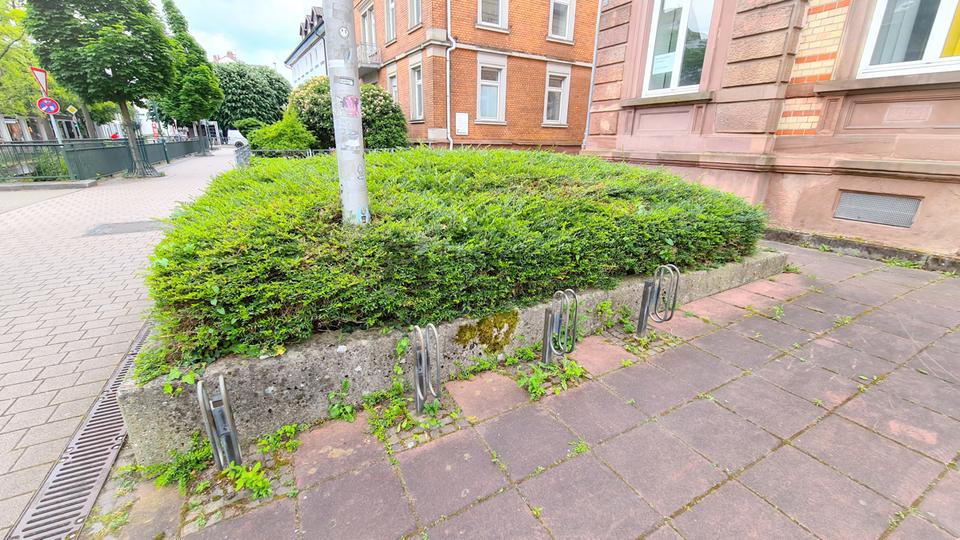 Gewerbeobjekt Bühl - 2.825&euro; | Angebot:22076047