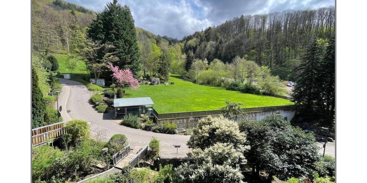 Etagenwohnung Sasbachwalden - 2 Zimmer, 51 m&sup2;, 96.000&euro; | Angebot:25776117