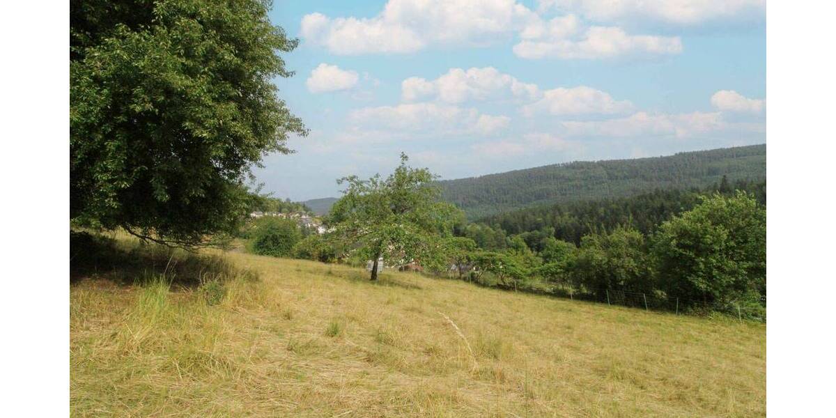 Grundstück Bad Wildbad Sprollenhaus - 124.500&euro; | Angebot:26487604