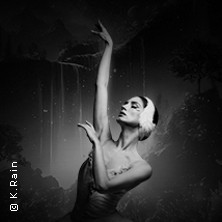 Grand Classic Ballet - Schwanensee - Jenseits der Bühne mit live Streichquartett 21.02.2027 Akademiebühne