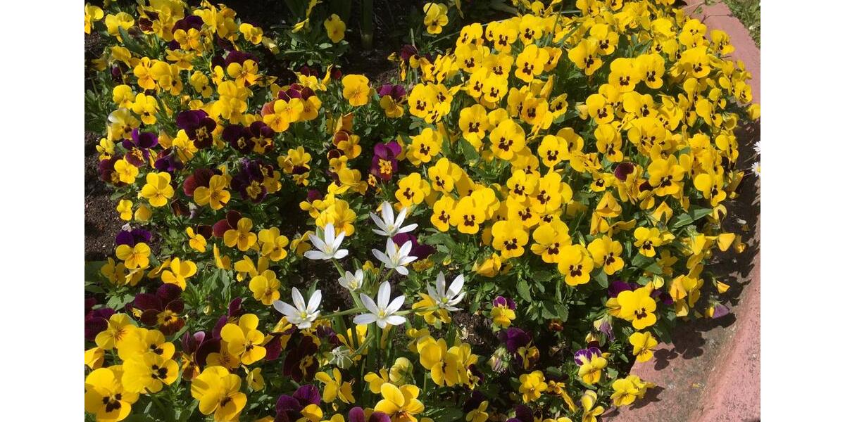 Dachgeschoßwohnung Waldbronn - 2 Zimmer, 37 m&sup2;, 320&euro; | Angebot:25865114