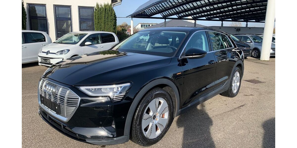 Audi e-tron 21.331 km 28.900 &euro; Sasbach 77880