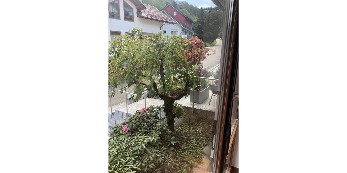 Erdgeschoßwohnung Bühlertal - 3 Zimmer, 82 m&sup2;, 1.220&euro; | Angebot:24841115