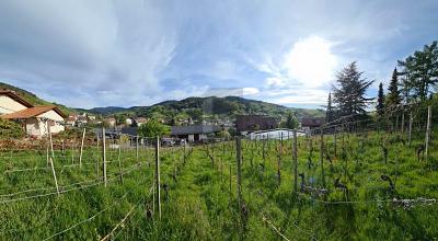 AUSSICHT & LEBENSQUALITÄT - Grundstück Bühlertal | Angebot:26570931