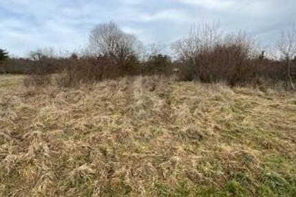 PLANE DEIN EIGENES TRAUMHAUS IM GRÜNEN - Grundstück Keltern | Angebot:25893223