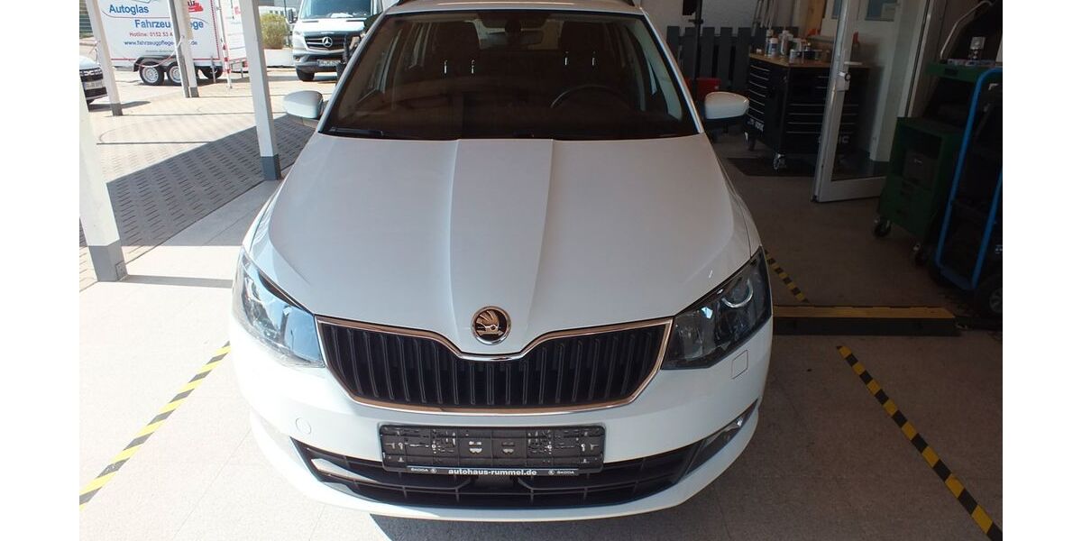 Skoda Fabia 124.790 km 9.790 &euro; Baden-Baden 76530