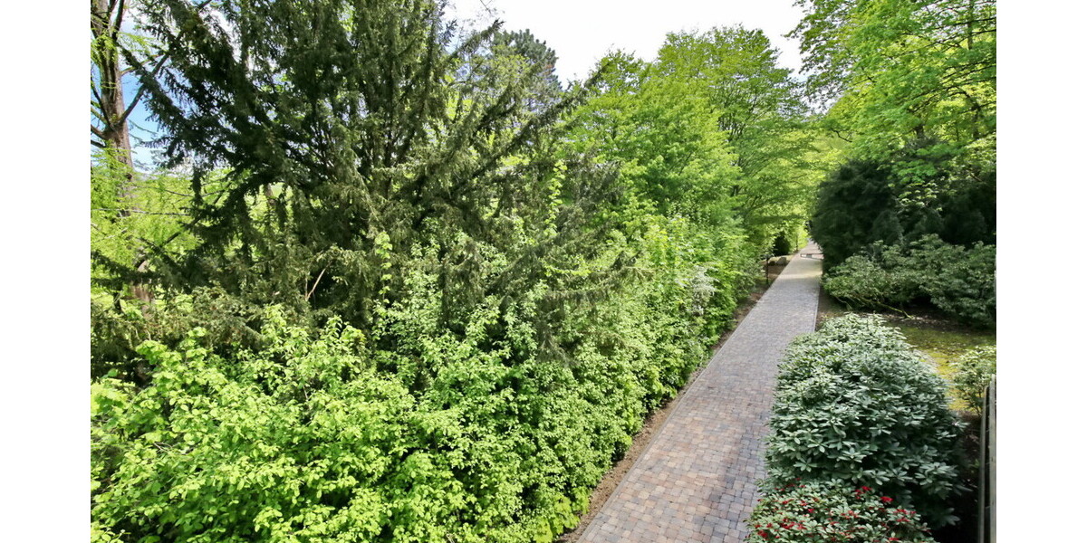 Sanierte Wohnung direkt an der Lichtentaler Allee - Erstbezug - 3.5 Baden-Baden Baden | Angebot:25852869