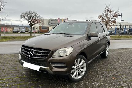 Mercedes-Benz ML 250 300.000 km 12.500 &euro; Rheinau 77866