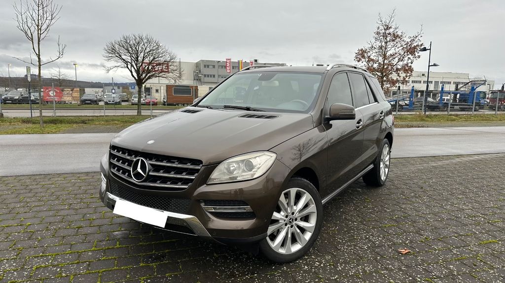 Mercedes-Benz ML 250 300.000 km 12.500 &euro; Rheinau 77866