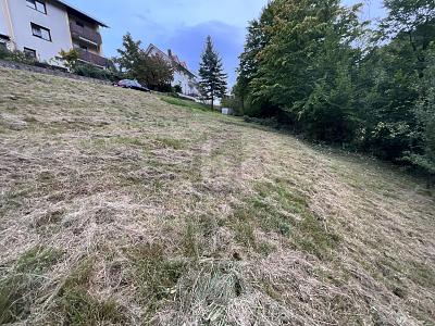 SCHÖNE AUSSICHTEN FÜR EIN GEMEINSAMES ZUHAUSE - Grundstück Weisenbach | Angebot:25893174