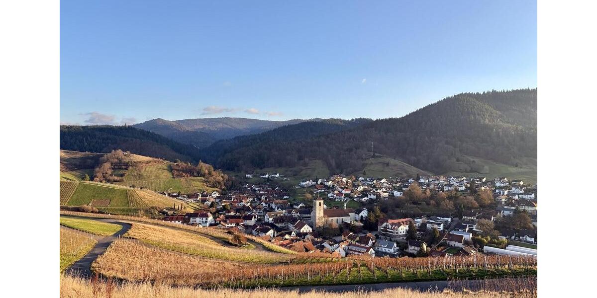 Etagenwohnung Baden-Baden Lichtental - 3 Zimmer, 80 m&sup2;, 990&euro; | Angebot:25416480