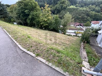 SCHÖNE AUSSICHTEN FÜR EIN GEMEINSAMES ZUHAUSE - Grundstück Weisenbach | Angebot:25893174