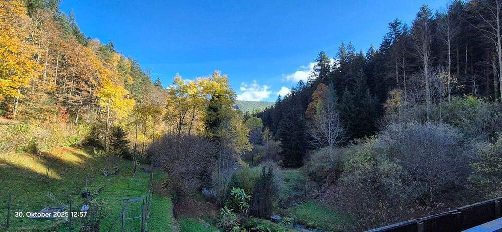 Mehrfamilienhaus, Wohnhaus Bad Wildbad - 8 Zimmer, 221 m&sup2;, 950.000&euro; | Angebot:25880993