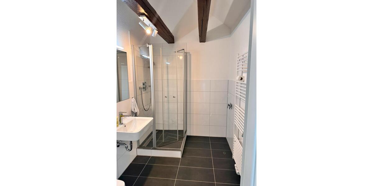 Dachgeschoßwohnung Rastatt - 1 Zimmer, 65 m&sup2;, 750&euro; | Angebot:25146842