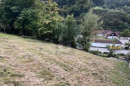 Grundstück Weisenbach - 75.000&euro; | Angebot:25920613