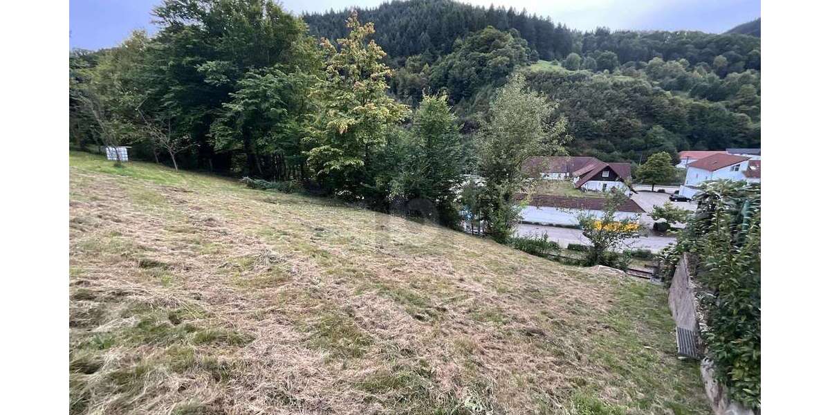 Grundstück Weisenbach - 75.000&euro; | Angebot:25920613