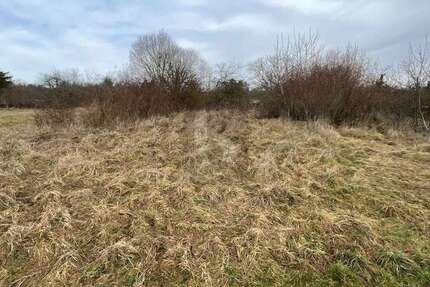 Grundstück Keltern - 55.000&euro; | Angebot:25920696