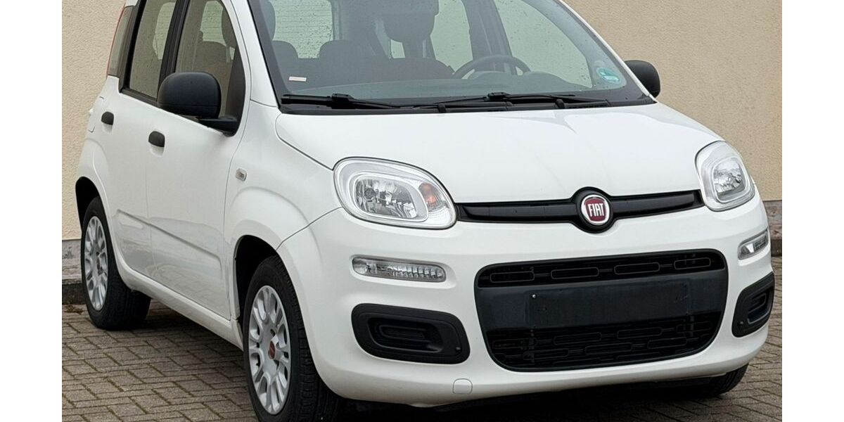 Fiat New Panda 49.500 km 6.699 &euro; Au am Rhein 76474