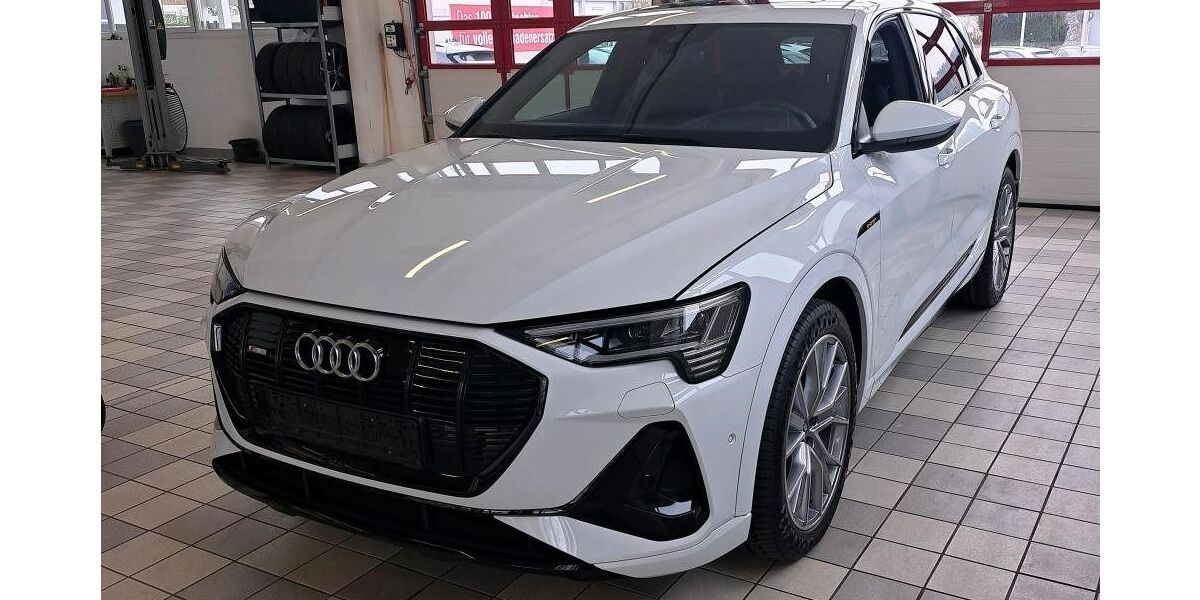 Audi e-tron 41.379 km 39.900 &euro; Ettlingen 76275
