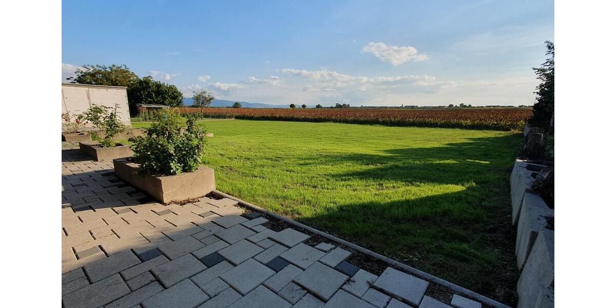 Einfamilienhaus Rheinmünster - 4 Zimmer, 137 m&sup2;, 479.000&euro; | Angebot:24995562