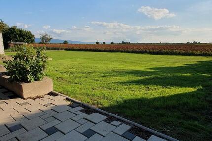 Haus Rheinmünster - 4 Zimmer, 137 m&sup2;, 479.000&euro; | Angebot:24995562