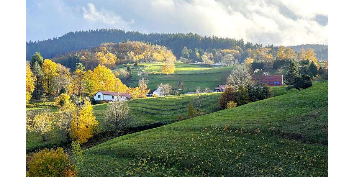 Einfamilienhaus Bühlertal - 11 Zimmer, 255 m&sup2;, 400.000&euro; | Angebot:16421178