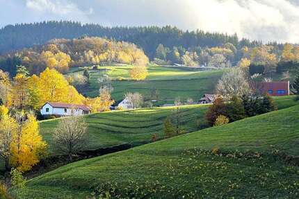 Haus Bühlertal - 11 Zimmer, 255 m&sup2;, 400.000&euro; | Angebot:16421178