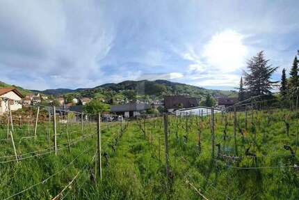 Grundstück Bühlertal - 294.000&euro; | Angebot:25884287