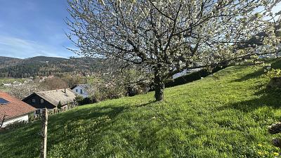 IDYLLE IN NATUR UND STADT - Grundstück Bühlertal | Angebot:26501813
