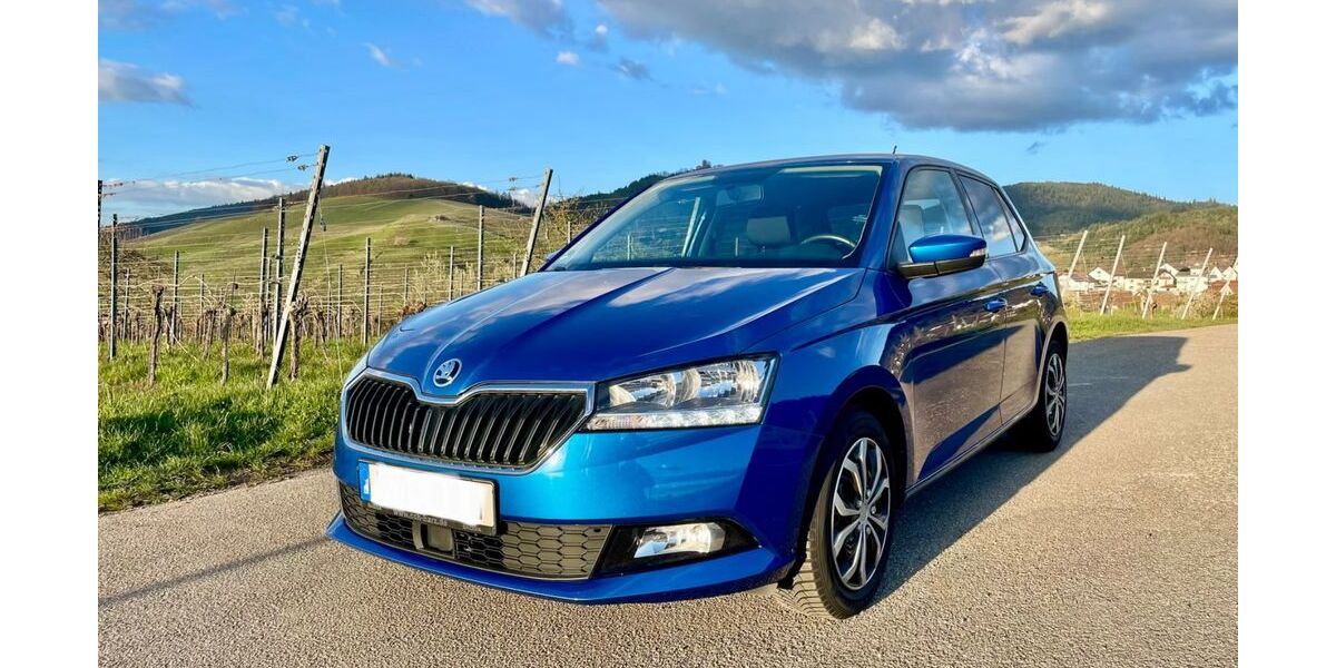 Skoda Fabia 95.621 km 7.990 &euro; Baden-Baden 76534