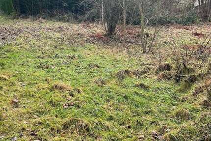 Grundstück Forbach - 82.500&euro; | Angebot:24982869