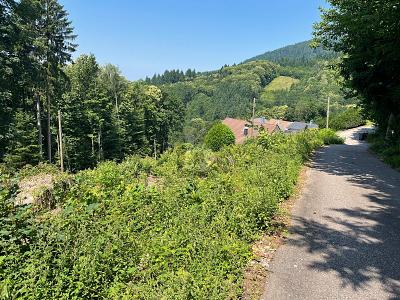 ERSCHAFFEN SIE IHREN WOHNTRAUM IM GRÜNEN - Grundstück Ottenhöfen im Schwarzwald | Angebot:25970986