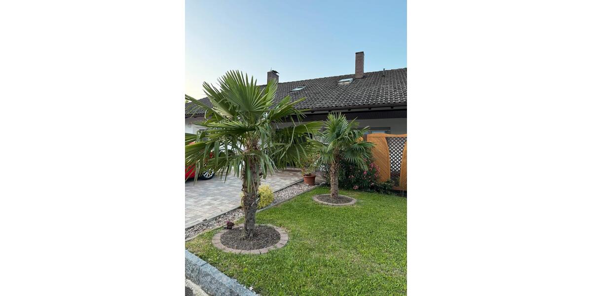 Dachgeschoßwohnung Gaggenau - 1 Zimmer, 110 m&sup2;, 960&euro; | Angebot:25420989