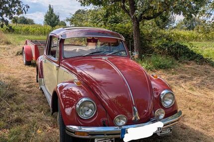 VW Käfer 73.000 km 8.900 &euro; Kuppenheim 76456