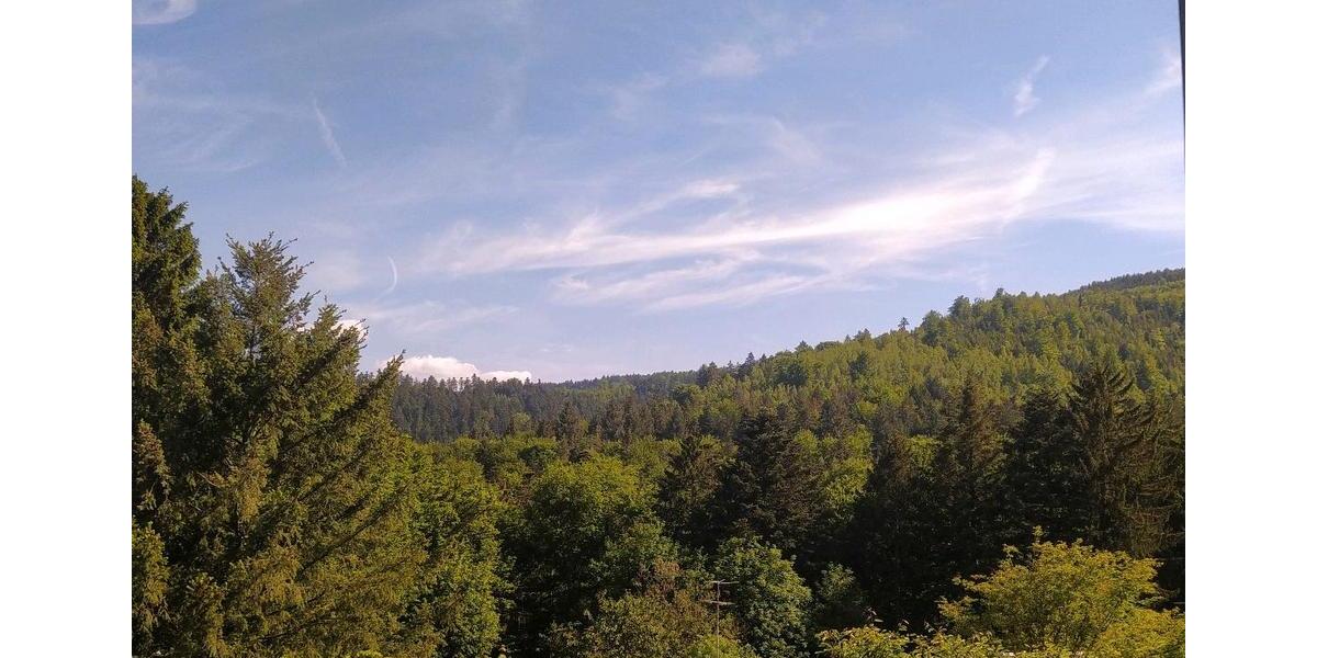 Etagenwohnung Bad Herrenalb - 1.5 Zimmer, 120.000&euro; | Angebot:20986638