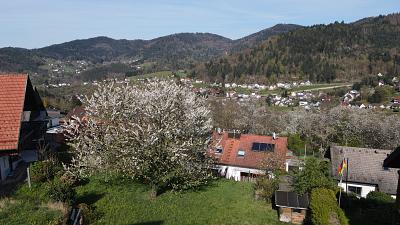 IDYLLE IN NATUR UND STADT - Grundstück Bühlertal | Angebot:26501813