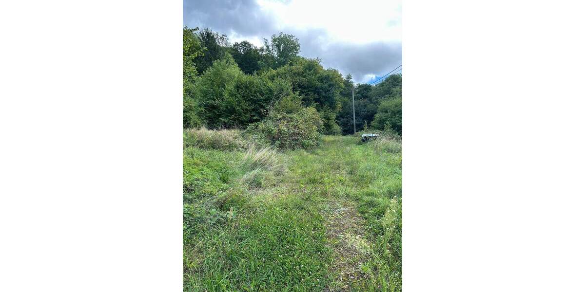 Grundstück Gaggenau Winkel - 165.000&euro; | Angebot:25671496