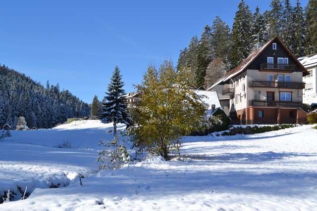 Einfamilienhaus Enzklösterle - 9 Zimmer, 170 m&sup2;, 290.000&euro; | Angebot:24150040