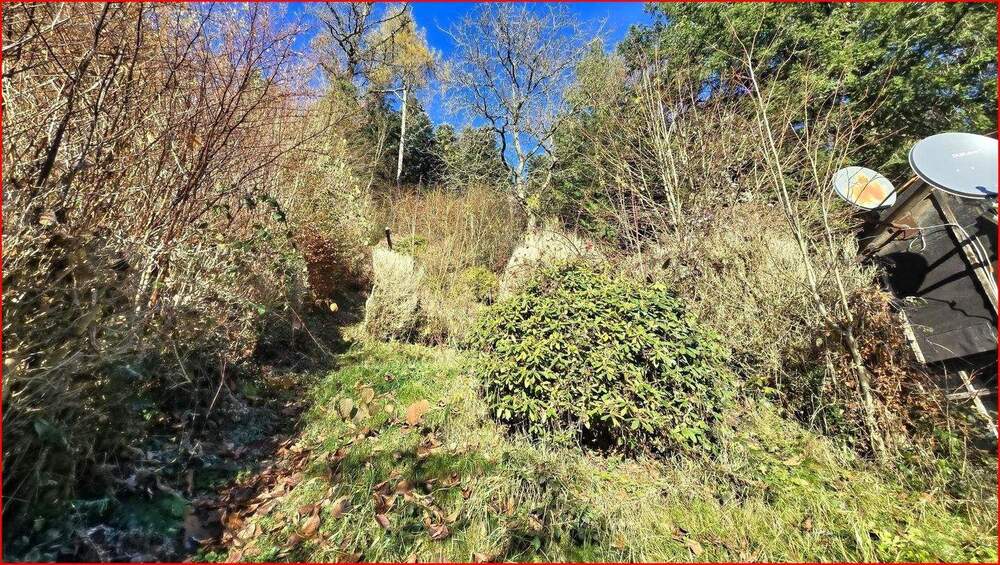 Mehrfamilienhaus, Wohnhaus Bad Herrenalb - 1 Zimmer, 244 m&sup2;, 299.000&euro; | Angebot:25796565